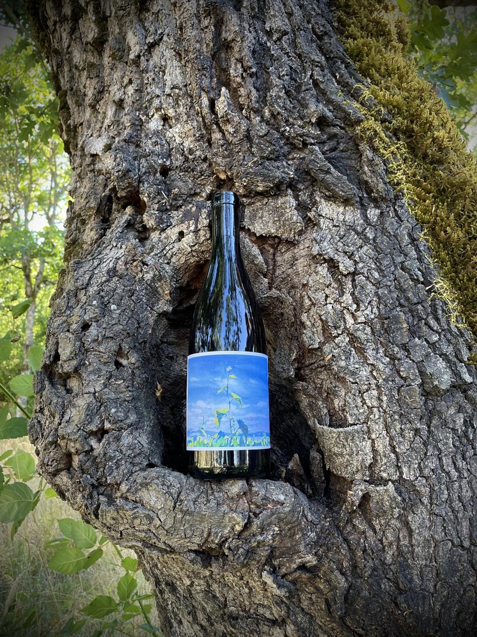 Johan Vineyards - Savagnin - Option 4