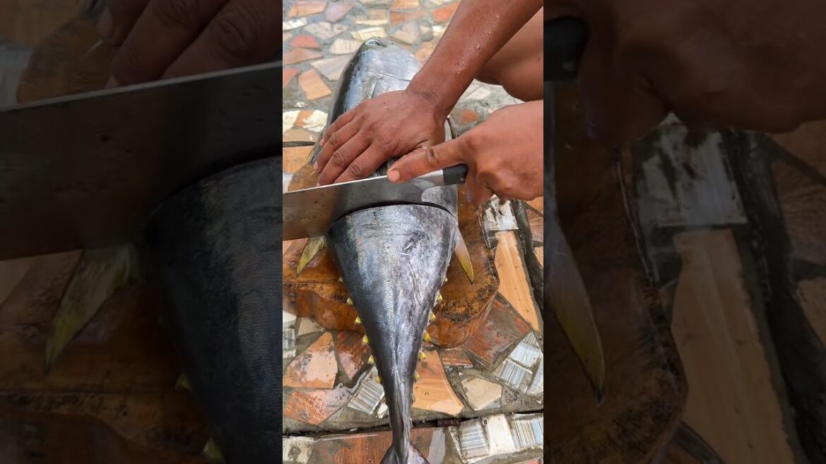 Grilling Perfect Tuna Fish Tail | Juicy Seafood BBQ Recipe | How to Cook Tuna Tail Steaks Grilling Perfect Tuna Fish Tail | Juicy Seafood BBQ Recipe | How to Cook Tuna Tail Steaks