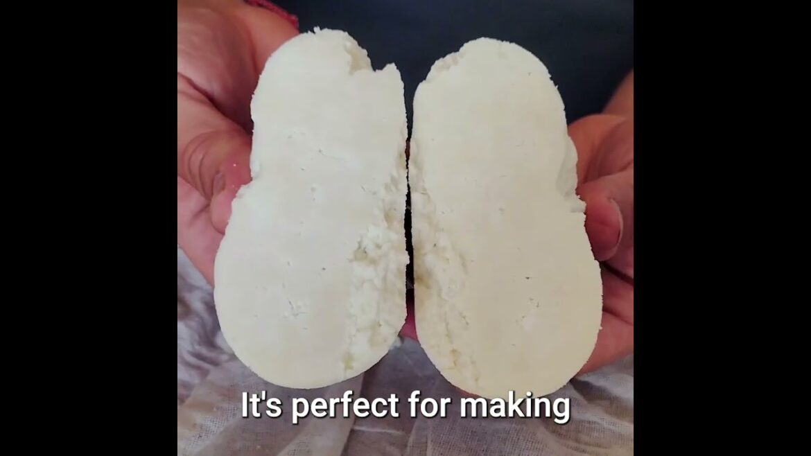 JeffChef learns how to make home made cheese    #easycooking #homemadecheese #greekvillagelife