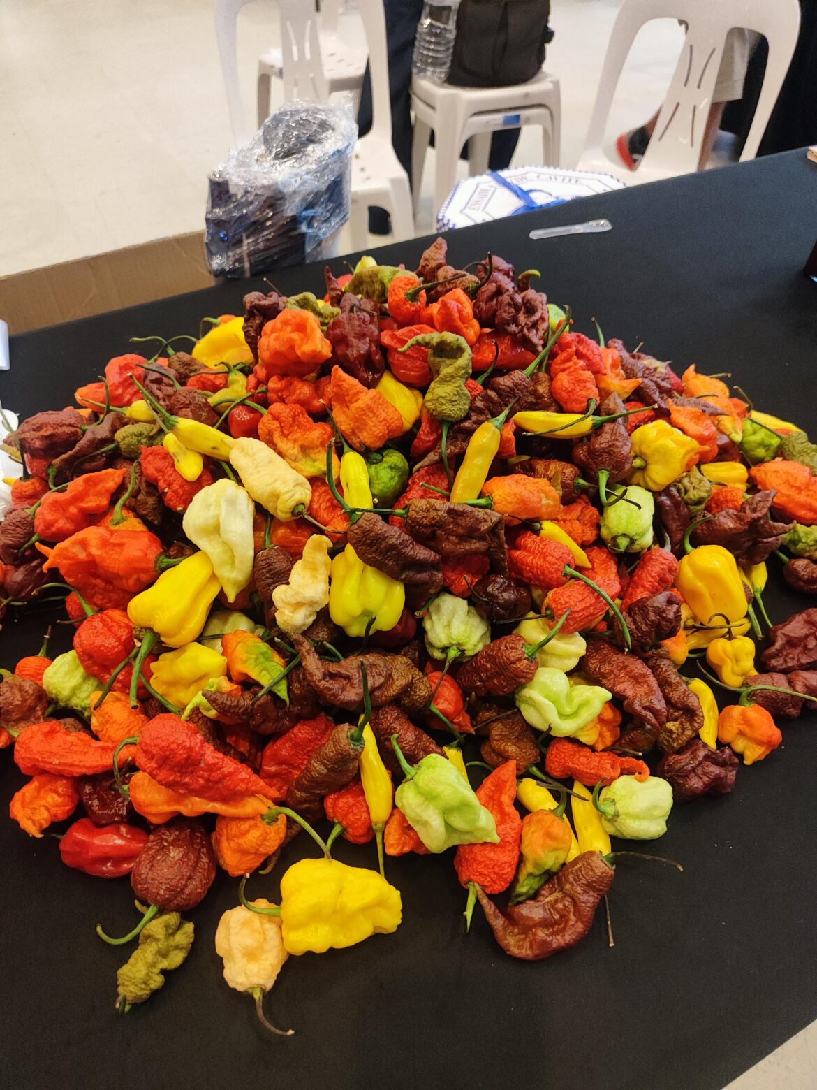 Philippine Chilifest 2023