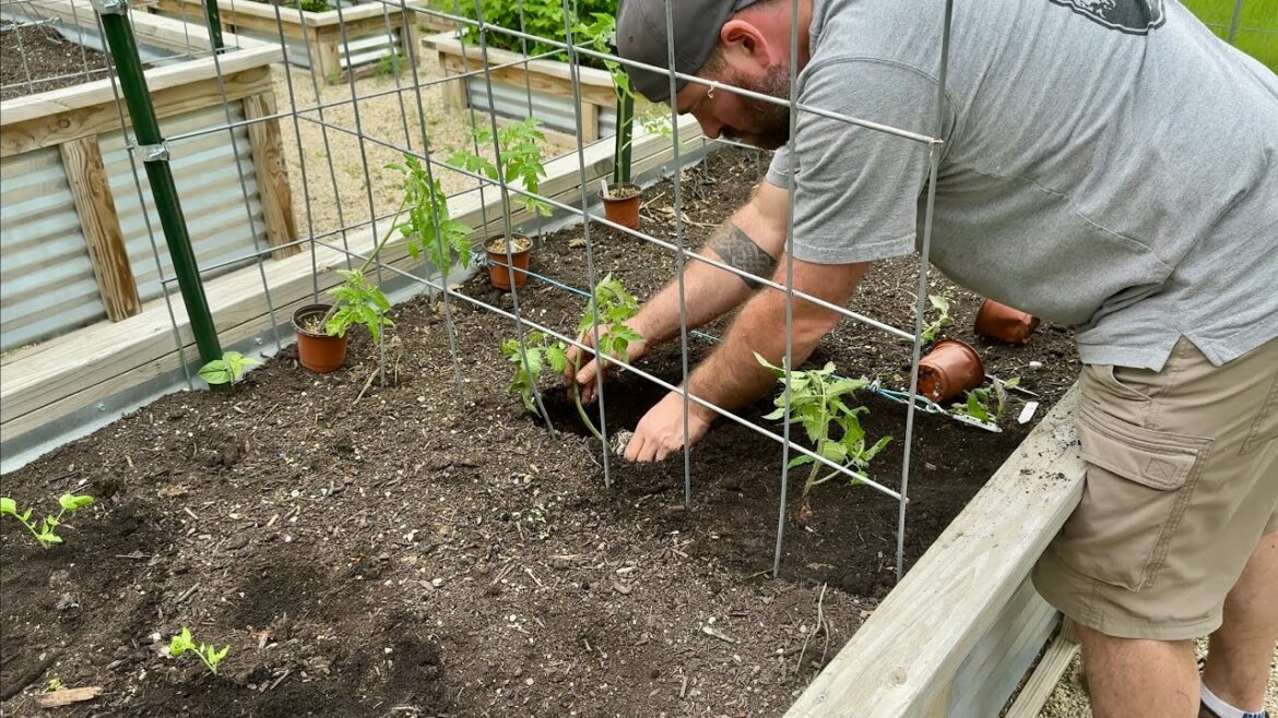 Planting our Spring Vegetable Garden in Raised Beds 2025 // Bog Life