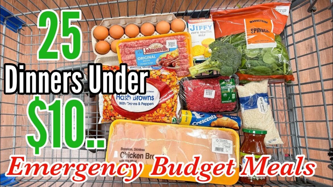 25 EMERGENCY BUDGET MEALS UNDER $10 | Quick & EASY Cheap Dinner Ideas | Julia Pacheco 25 EMERGENCY BUDGET MEALS UNDER $10 | Quick & EASY Cheap Dinner Ideas | Julia Pacheco