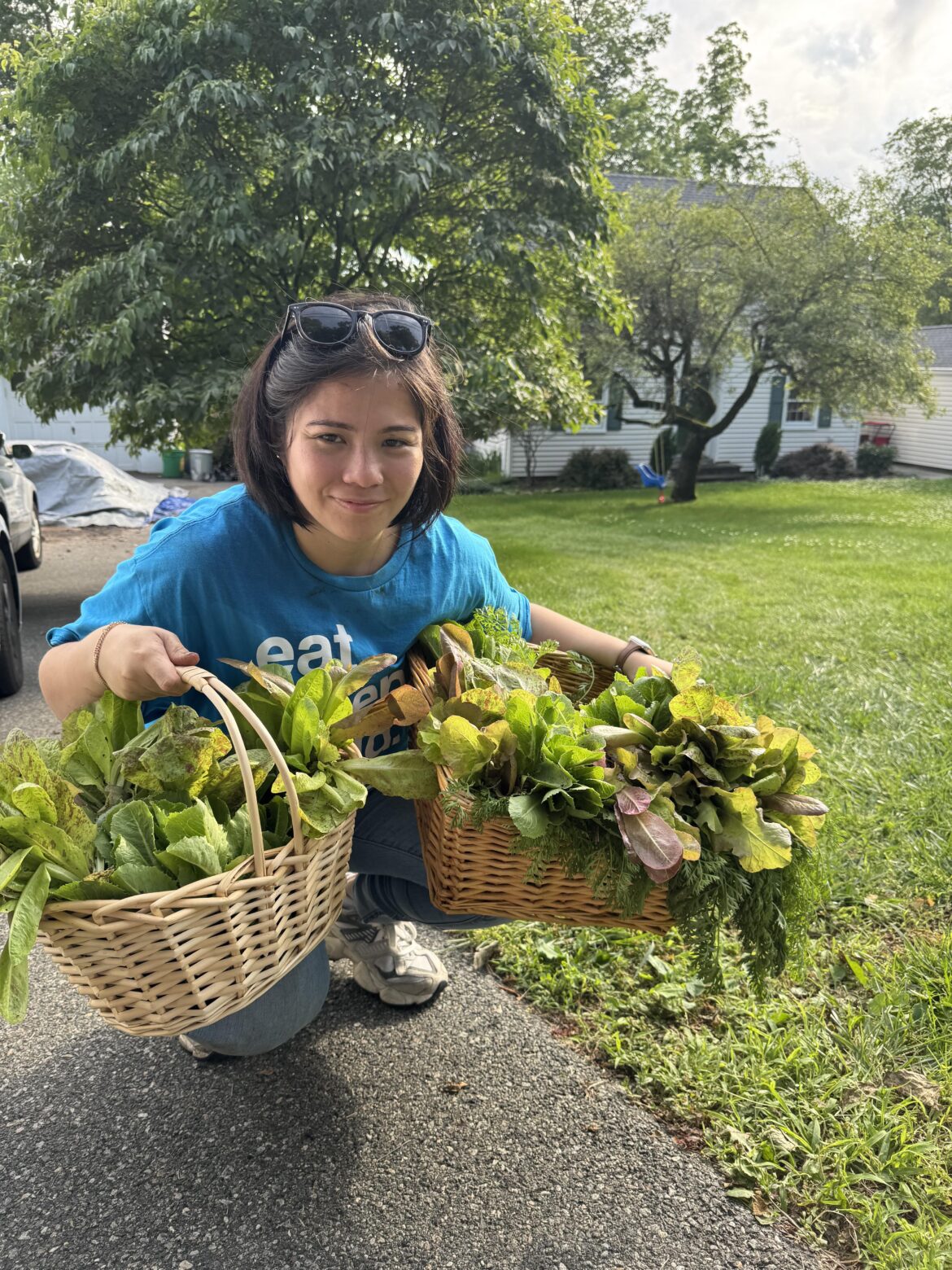 My first big harvest.