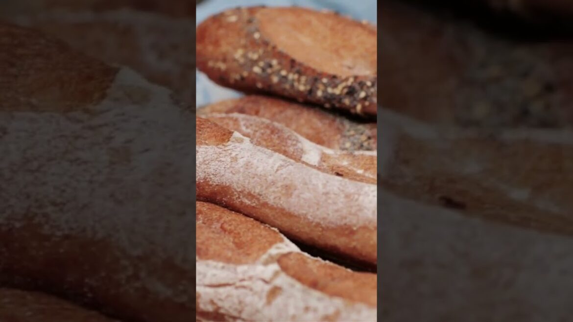 Italian Altamura Bread Recipe:  A Step By Step Guide To Making Authentic Pane Di Altamura Italian Altamura Bread Recipe:  A Step By Step Guide To Making Authentic Pane Di Altamura