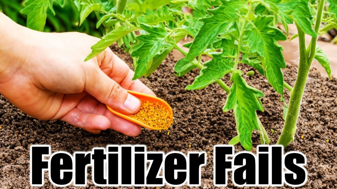7 Fertilizer Mistakes That RUIN Your Vegetable Garden