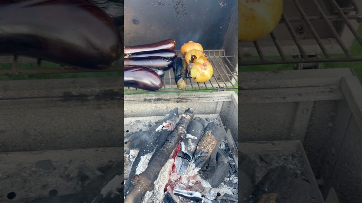 BARBECUE#adilkosar#toshkent #турецкий #uzbekistan#buhara #samarkand#istanbul#baku#هلوات الجبن. #food BARBECUE#adilkosar#toshkent #турецкий #uzbekistan#buhara #samarkand#istanbul#baku#هلوات الجبن. #food