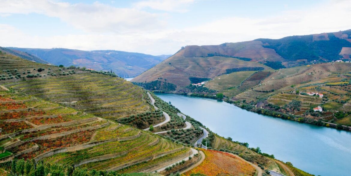 The Ultimate Guide to Portuguese Wines