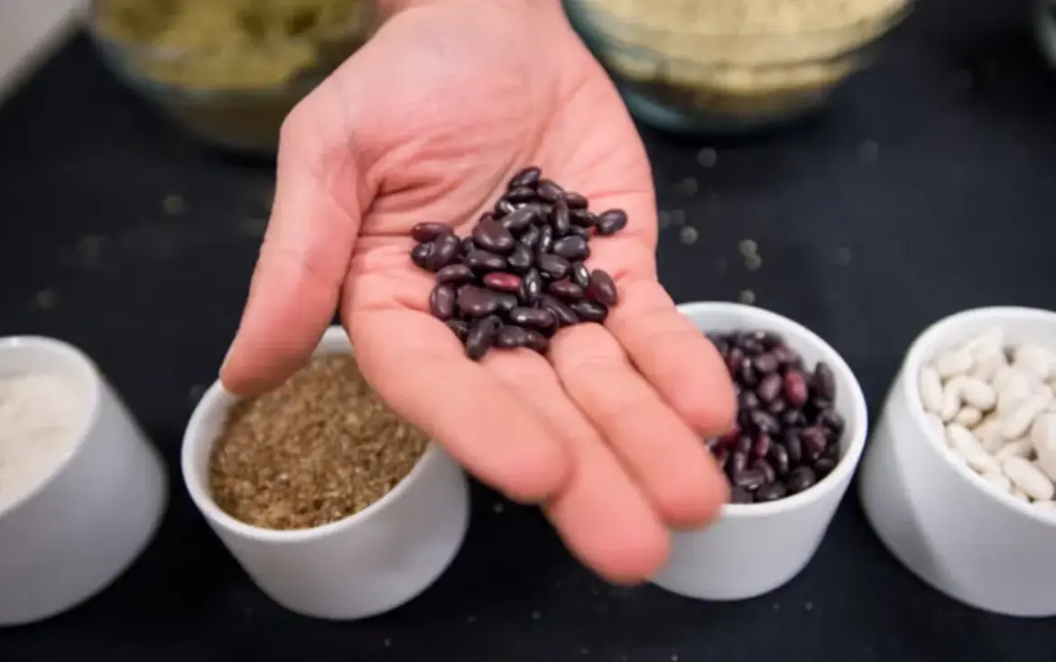 Vegan diet helps you lose weight faster than Mediterranean – study Vegan diet helps you lose weight faster than Mediterranean - study