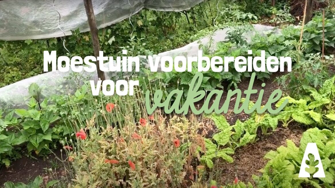 Stadstuinieren - Moestuin voorbereiden voor vakantie