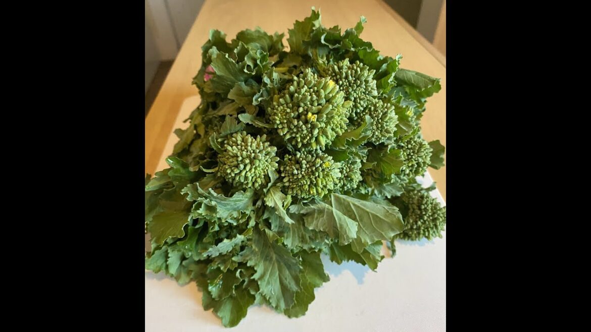 How To Cook Broccoli Rabe, Italian Style!