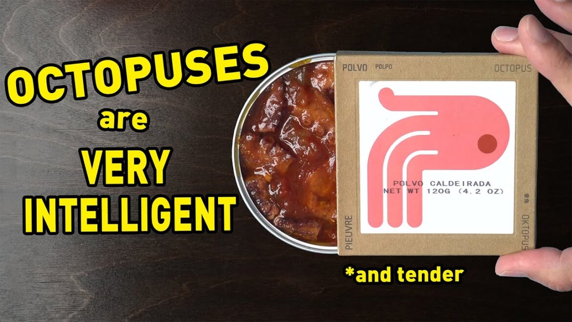 My favorite tinned octopus so far | Canned Fish Files Ep. 163 My favorite tinned octopus so far | Canned Fish Files Ep. 163