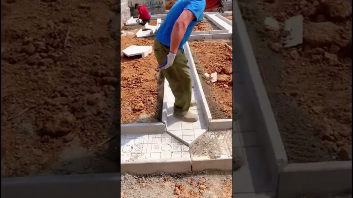 The path for the vegetable garden