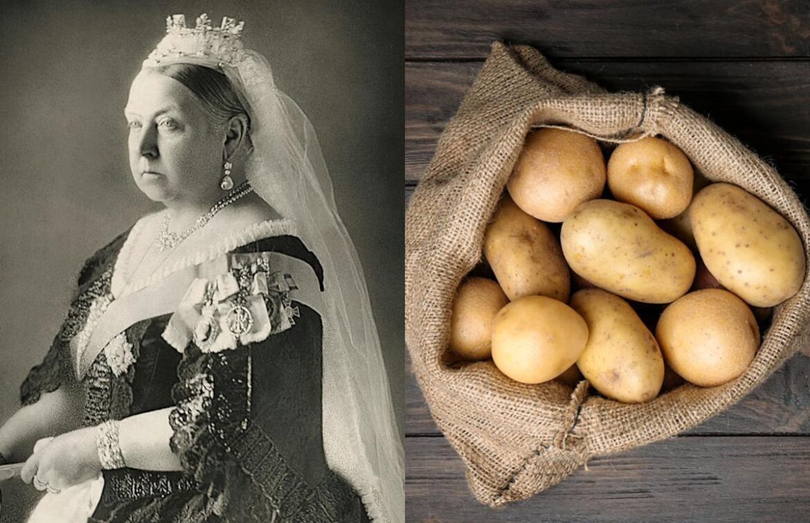 the surprising favourite foods of historic figures the surprising favourite foods of historic figures