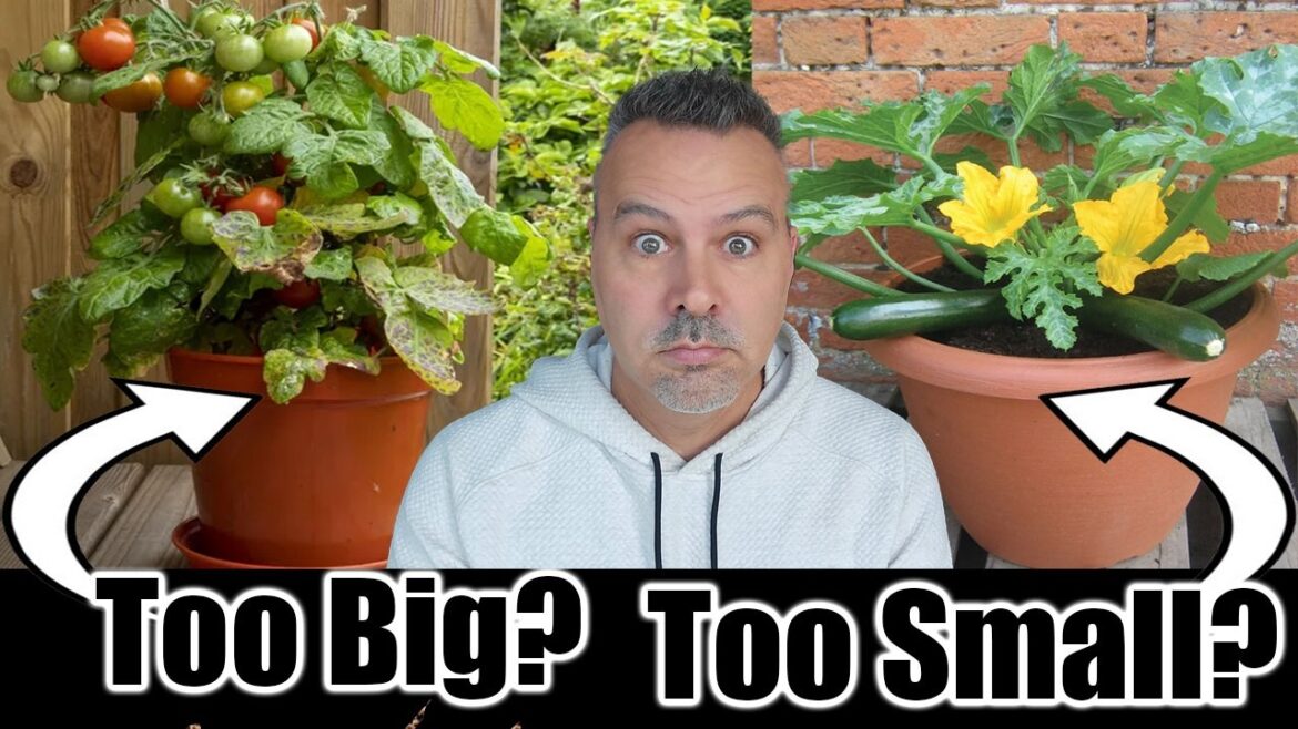 How to Grow Vegetables in Containers // Container Gardening How to Grow Vegetables in Containers // Container Gardening