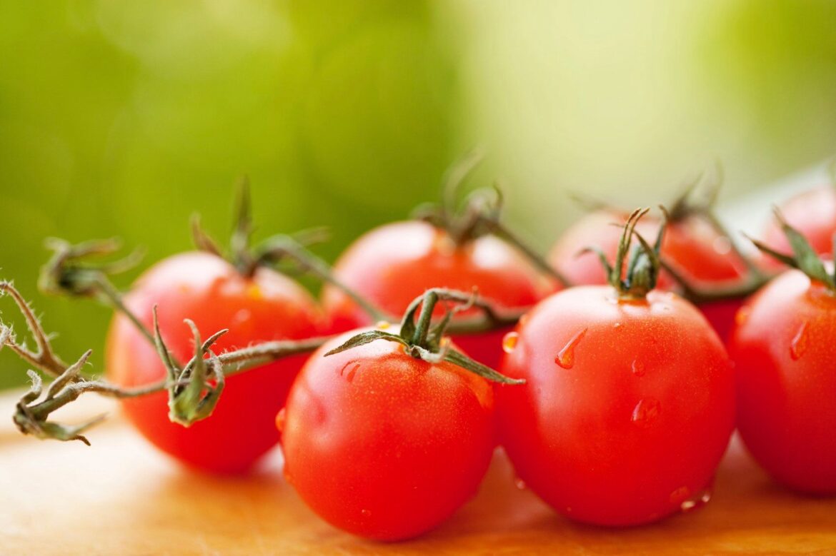 Tomatoes Top Healthy Mediterranean Diet Ingredient, New Consumer Survey Suggests Tomatoes Top Healthy Mediterranean Diet Ingredient, New Consumer Survey Suggests