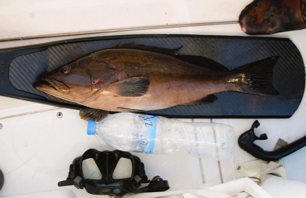 Out of the sea and straight to the charcoals.