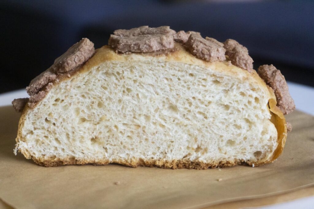 Conchas - preorder for Saturday (Hawthorne)