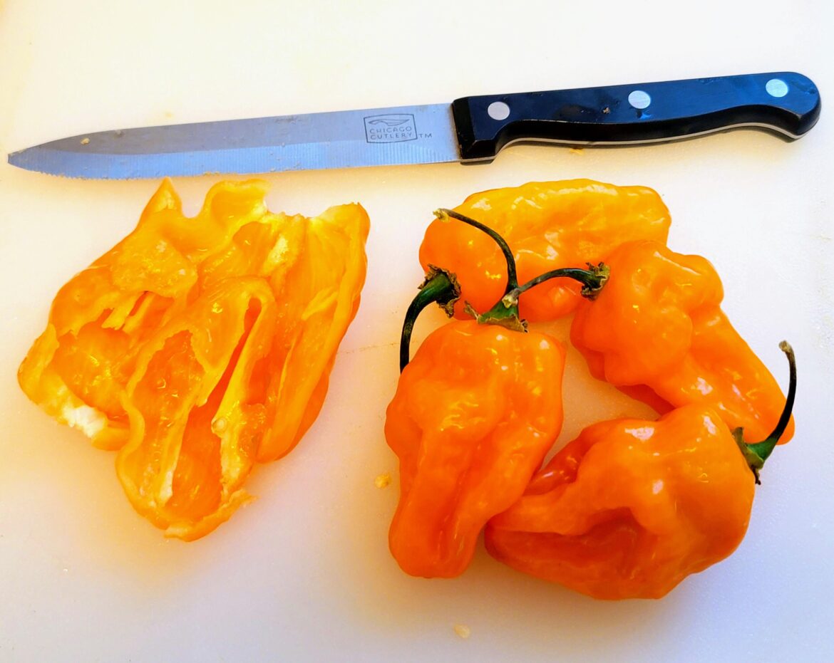 These peppers make me happy :) I love Habanero