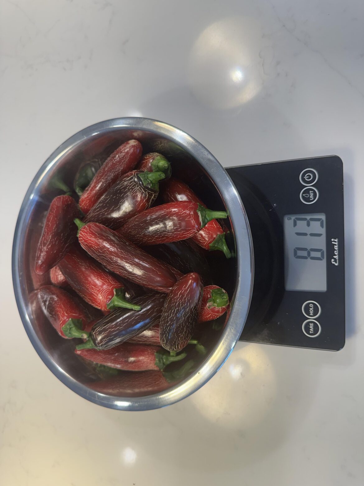 First harvest of the season