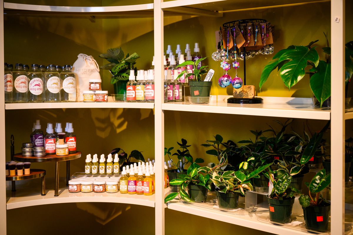 The shelves at Flour Bloom, stocked with plants and earrings.