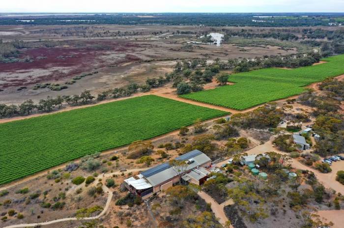 Vinarchy to close Banrock Station and Rolf Binder cellar doors in major South Australian wine region shift