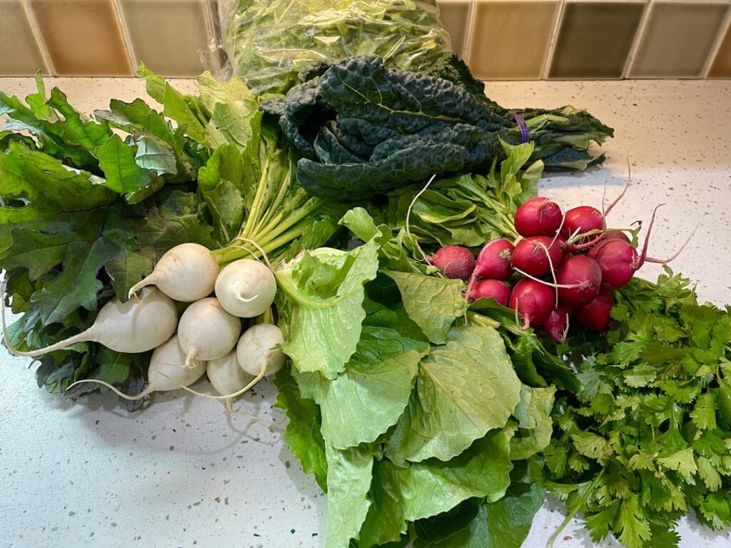 Dips, Chips & Snack-y Things—This Week’s CSA Haul Dips, Chips & Snack-y Things—This Week’s CSA Haul