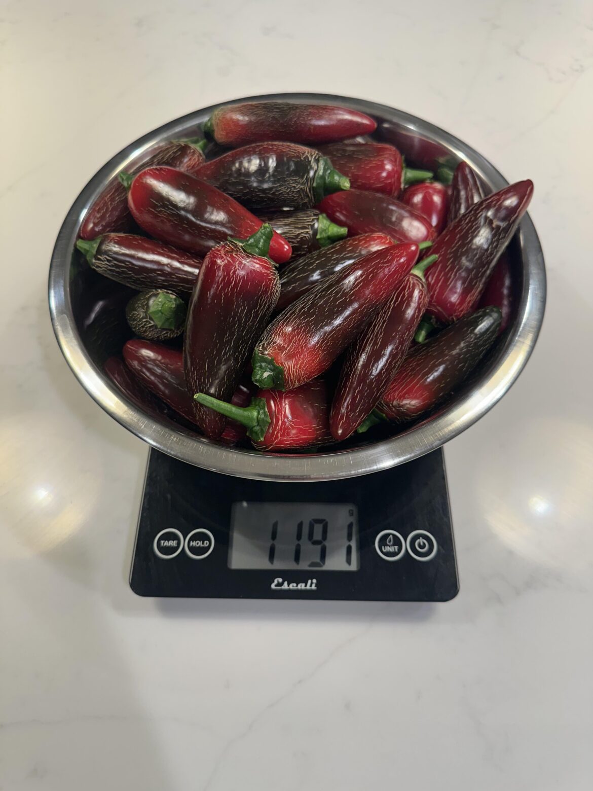 This is week 2 harvest from 4 plants. Probably have the same again next week. These Jalafuego are doing great in Houston TX