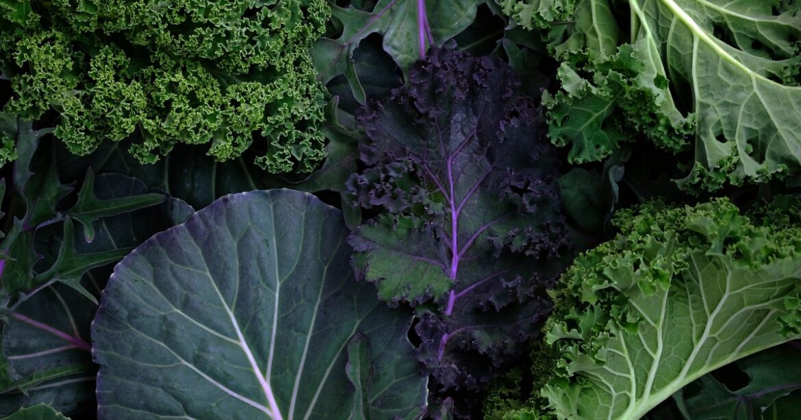 MIND diet may reduce Alzheimer’s risk for older adults, new study finds MIND diet may reduce Alzheimer’s risk for older adults, new study finds