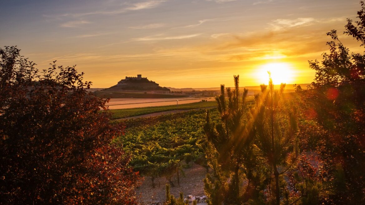 Ribera del Duero: Spain’s secret wine paradise