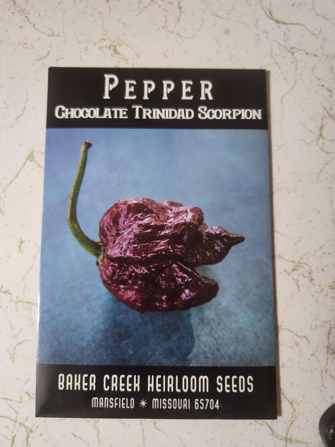 Chocolate Trinidad Scorpion Chocolate Trinidad Scorpion