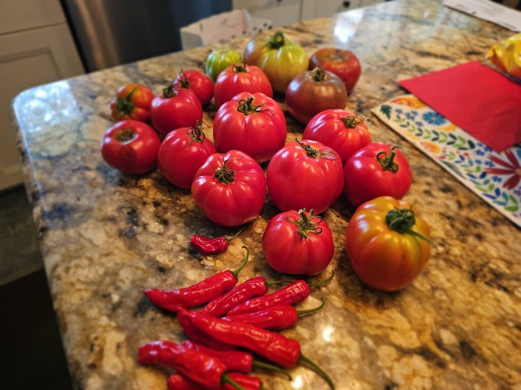 Harvest So Far