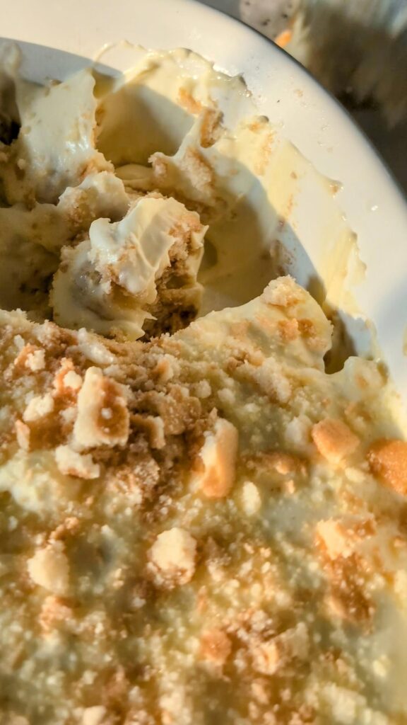 Thanks for your help on my previous post. Here's the photo of how banana pudding turned out.