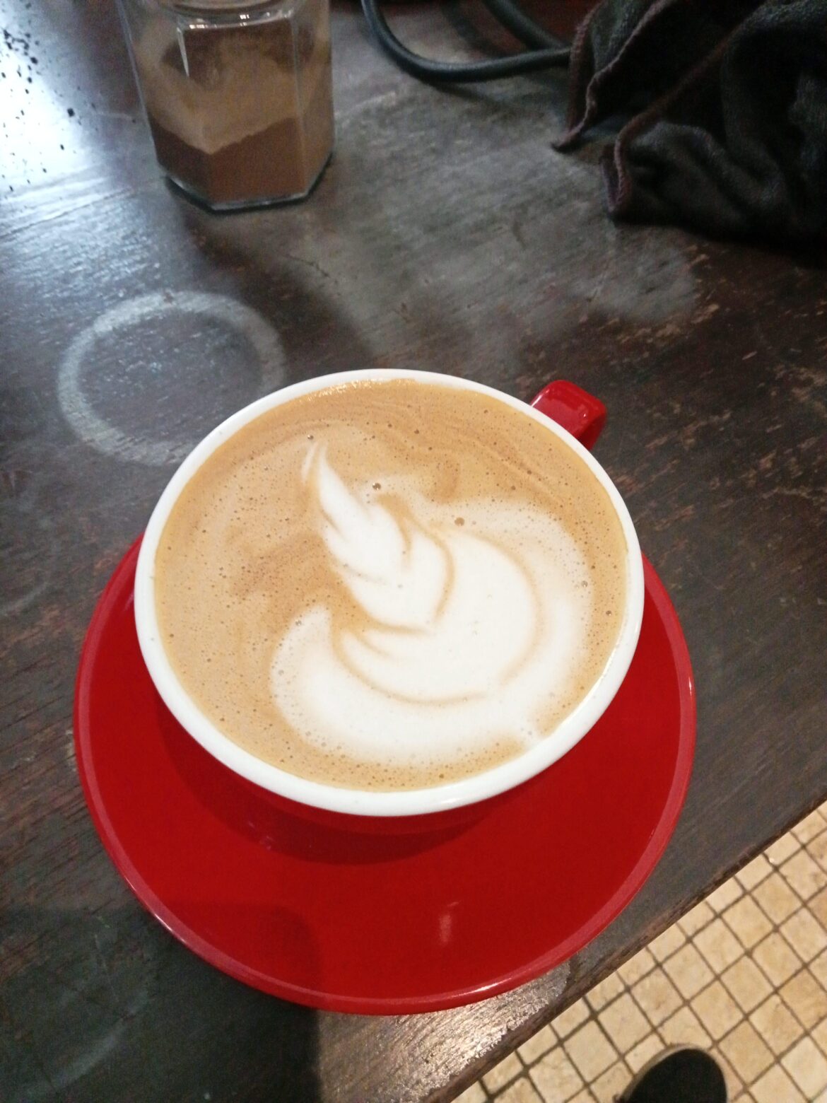 First week progress without any prior experience. Opinions?