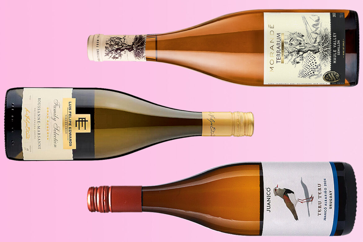 Interesting and original whites from both Chile and Uruguay Observer logo