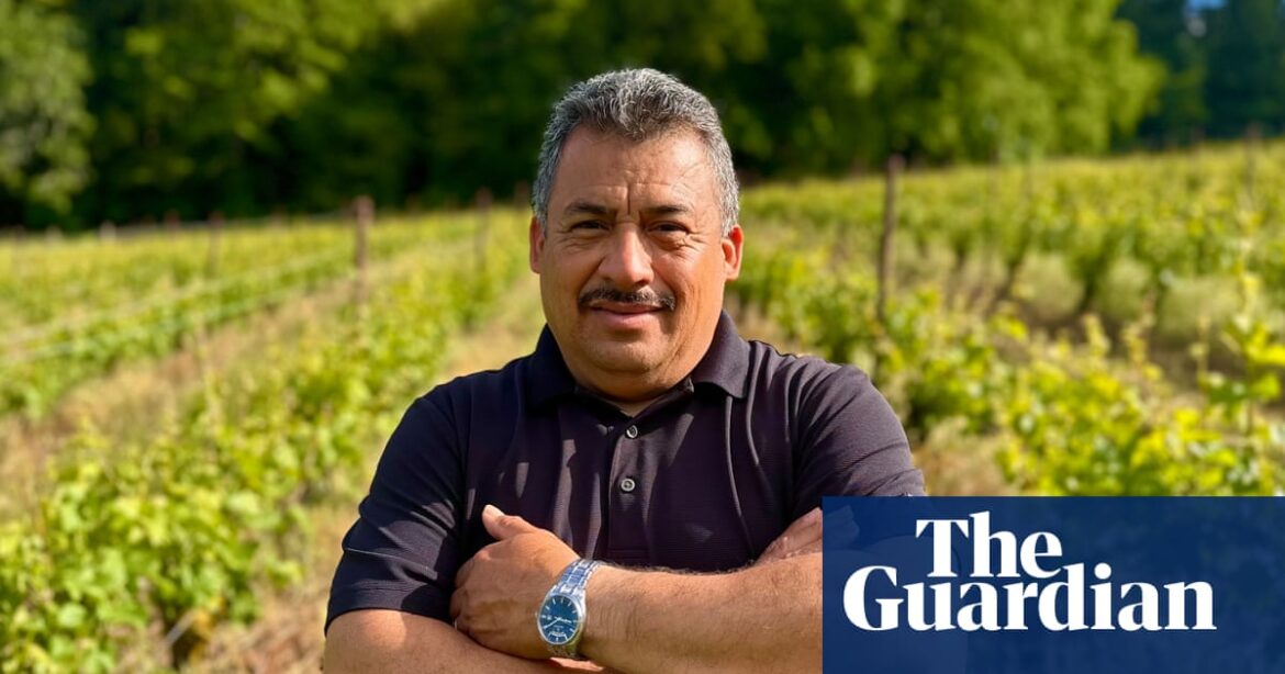 Ice’s ‘inhumane’ arrest of well-known vineyard manager shakes Oregon wine industry | US immigration