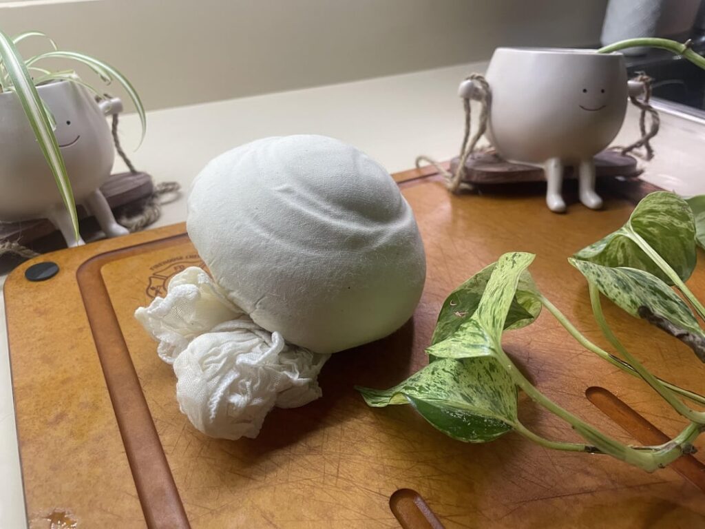 Vegan cheese I made!