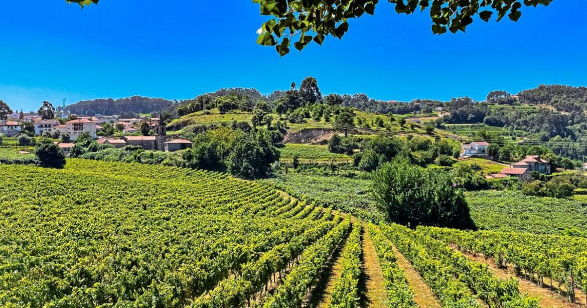 Richard Allisette: Uniquely Portuguese