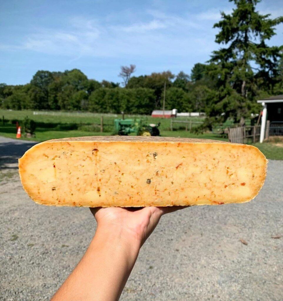 Day 1739 of posting images of cheese until I run out of cheese types: Abruzze Jawn