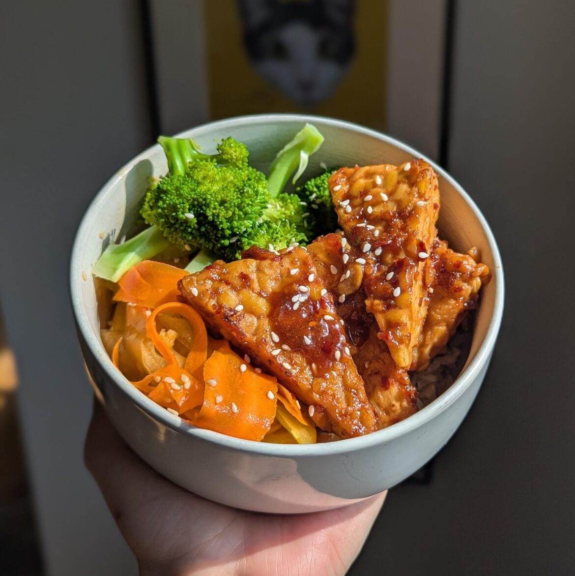 peanut sesame tempeh with carrot cucumber salad.