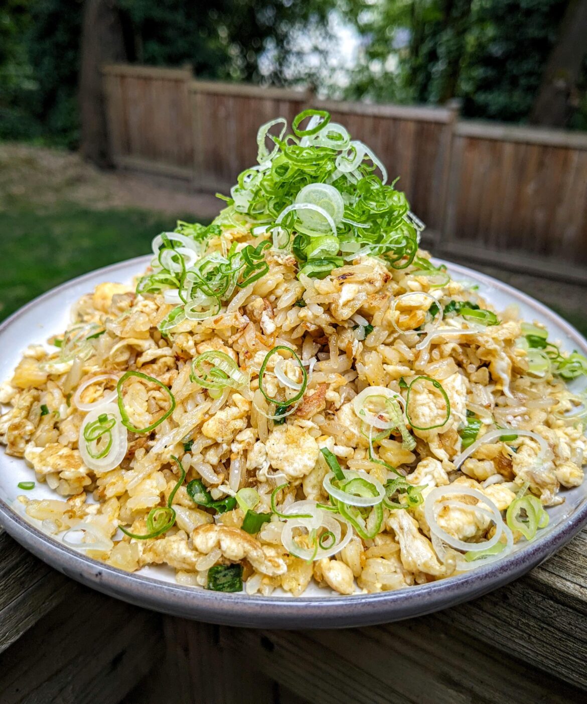 I found some great quality green onions and had to use them for this Fried Rice.