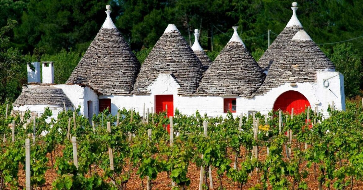 Deep reds to savour from my Italian excursion Deep reds to savour from my Italian excursion