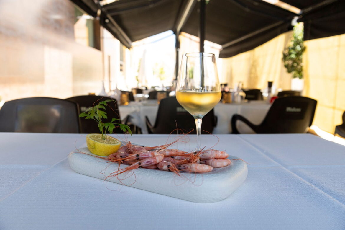 El Chato in Los Alcázares « Euro Weekly News