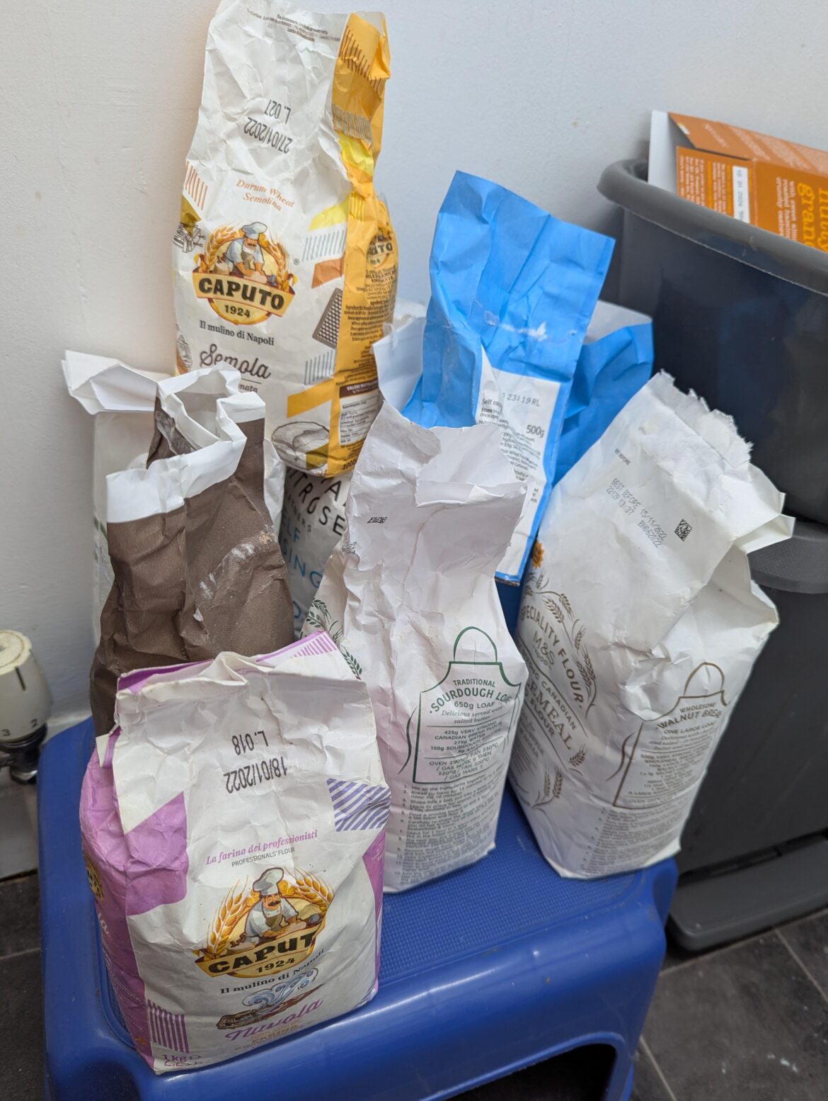 Wanted to make bread, all I got were mites