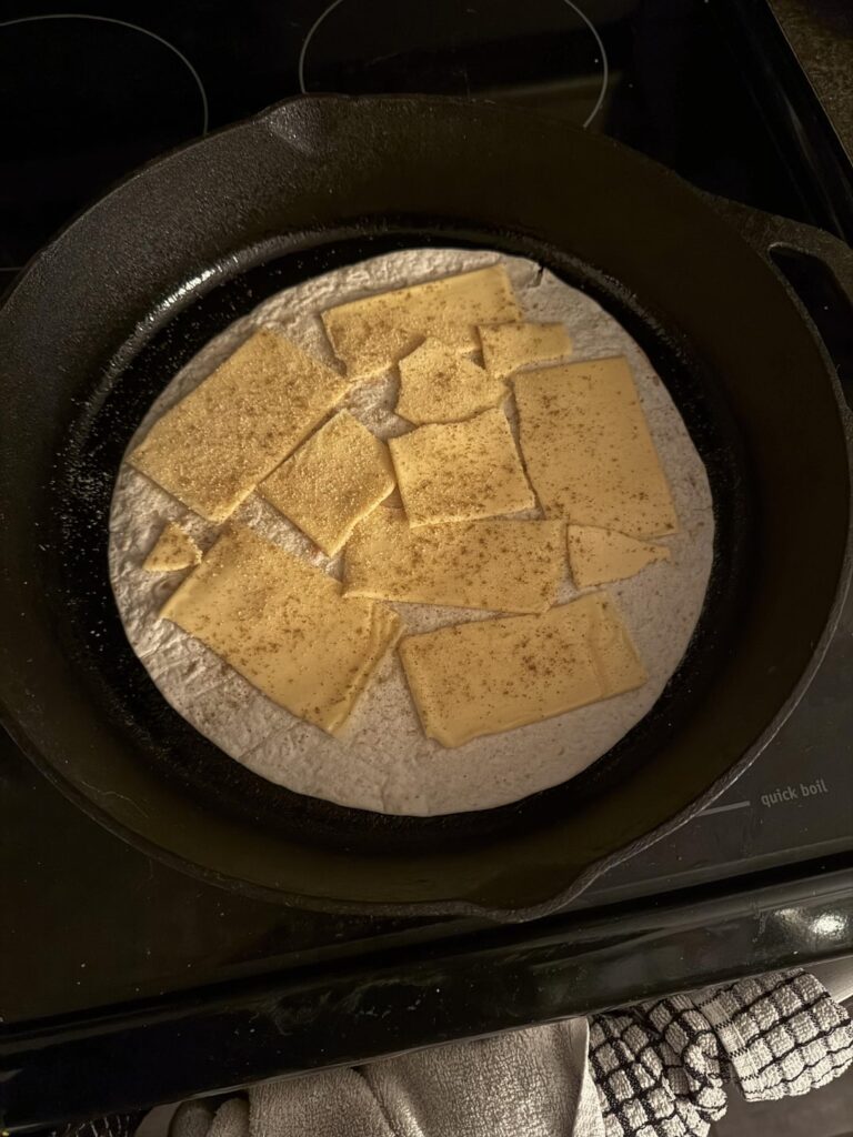 Quesadilla: worked with what I had.