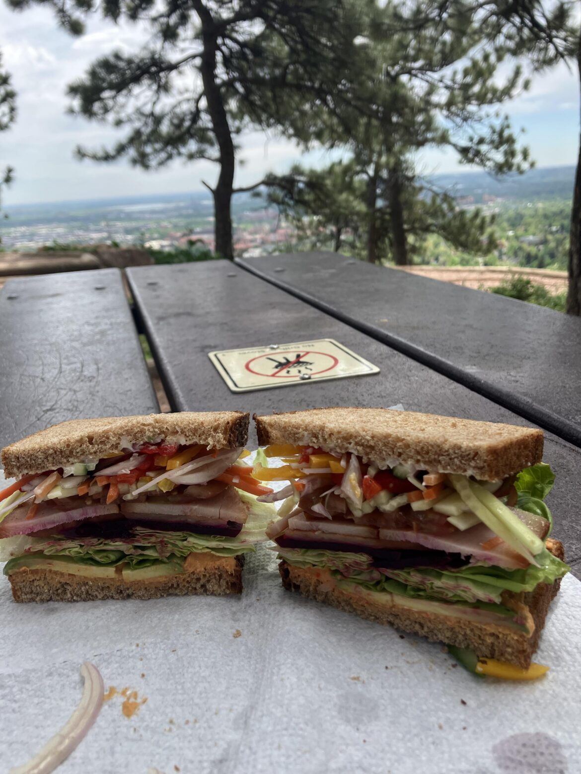 Sandwich after a hike