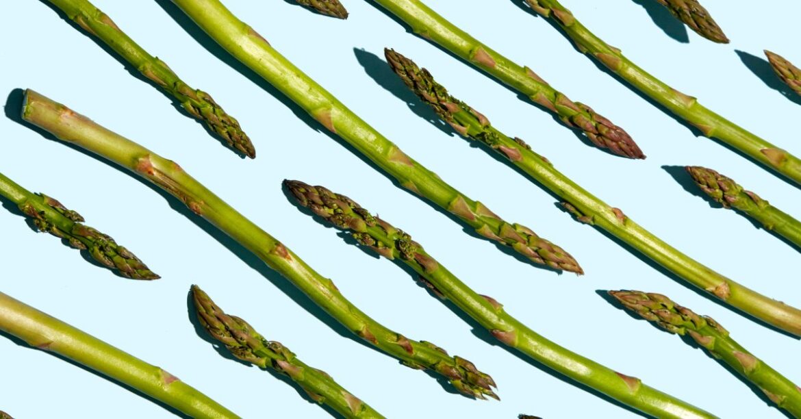 Vegetarian and Mediterranean Diets Are Equally Heart Healthy Vegetarian and Mediterranean Diets Are Equally Heart Healthy