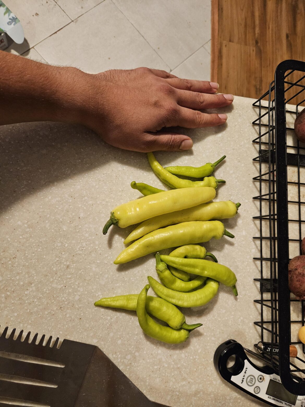What can I do with a bunch of unripe peppers?
