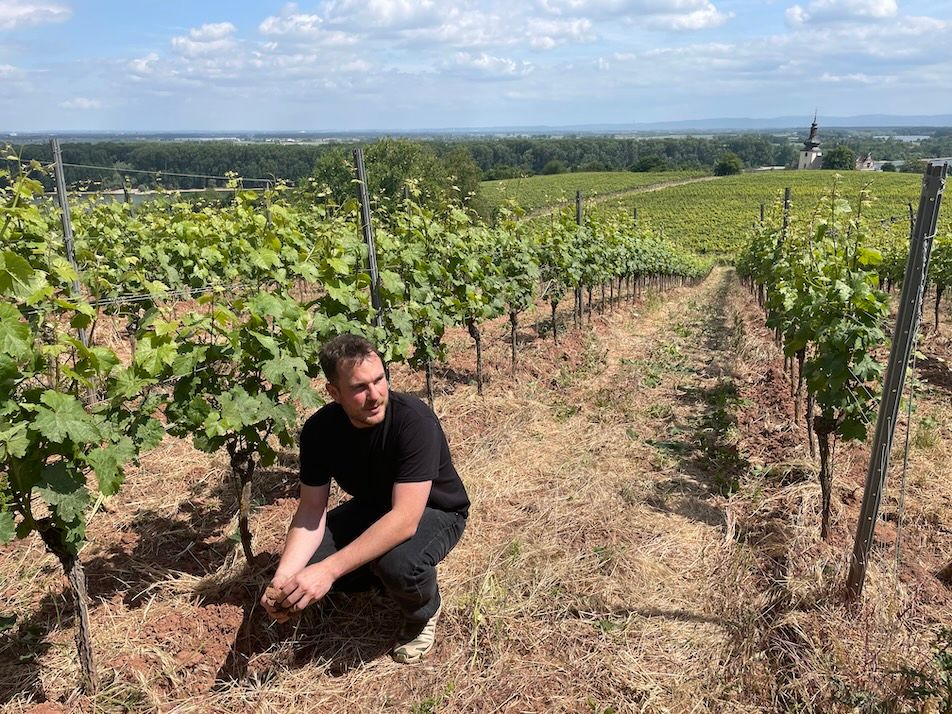 The Buyer | How young German winemakers are facing current challenges How young German winemakers are facing current challenges