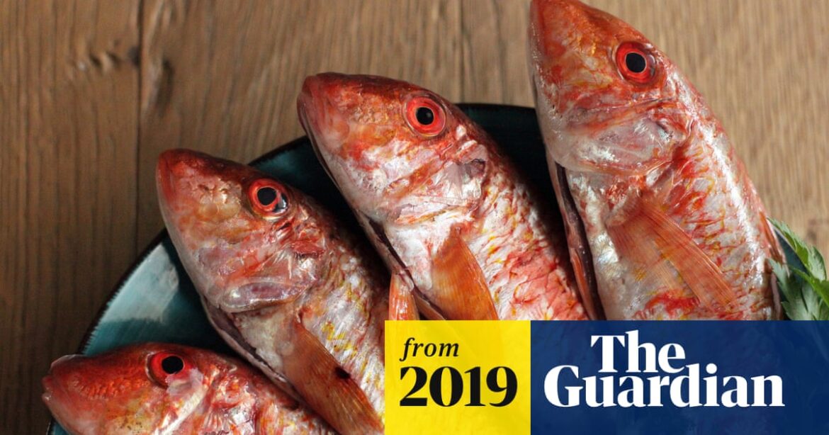 How do I make fish soup the way the French make it? | Food