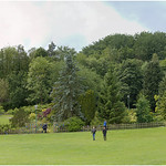 Japanese Garden